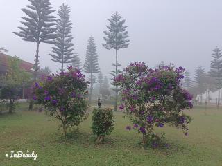 เฟรนด์แคมป์ - Khao Kho - 4
