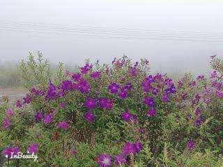 เฟรนด์แคมป์ - Khao Kho - 5
