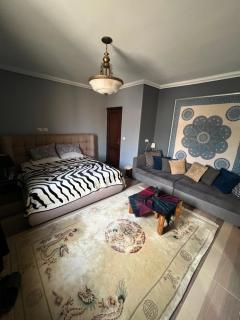 Luxurious Rooftop Appartment - Sheikh Zayed - 6