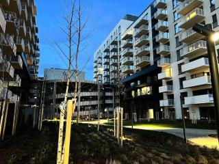 Silk Haven - Central Apartment - Iaşi - 7