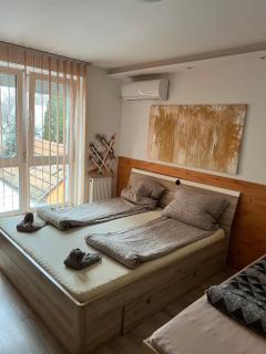 Sweet Dream Guesthouse - Szeged - 0