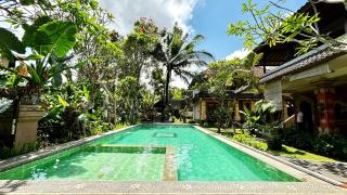 Ubud Kerta City Hotel - Ubud - 8