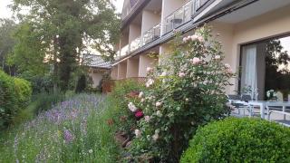 Landhotel Maarheide - Niederdürenbach - 8