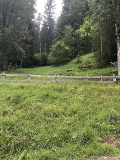 Haus Steinberg - Waidring - 1