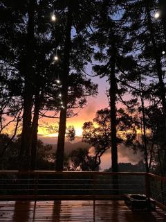 La negra - cabana entre araucárias - São Francisco de Paula - 9