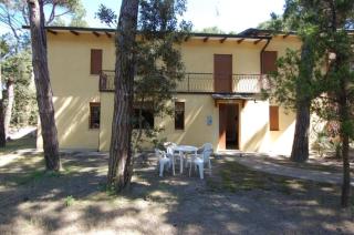 Cozy 1 bedroom apartment for 4 guests in Rosolina - Rosolina Mare - 0