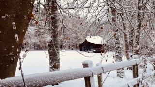 La Cabane d'Amae - Marche-en-Famenne - 3