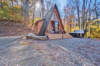 A-Frame with Hot Tub & Fire Pit - Damascus - 3