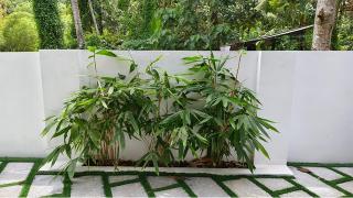 Theeram Guesthouse - Trivandrum - 9