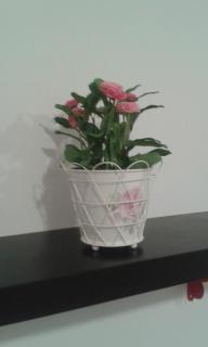Apartamento Calle Goles - Sevilla - 4