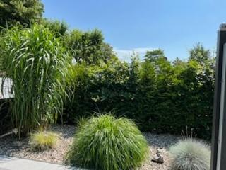 Wohnung Christine Okroy 1 - Kellenhusen - 5