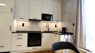 Tiché Anenské Apartmány s hotelovým servisem a s kvalitní snídaní na apartmán - by Relax Harrachov - Harrachov - 4