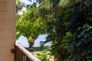 Hono Kai Resort B16 - Wailuku - 8