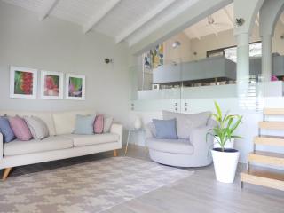 Villa Adina - A luxury villa with pool, perfect for a quiet hideaway or an exotic escape - Westerhall Land Settlement - 2