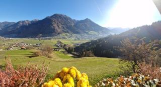 Landhaus Schwarzgütl - Bad Hofgastein - 3