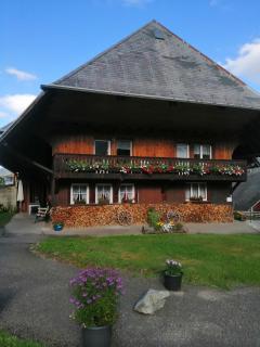 Schwarzwaldferienwohnung Oberle - Todtnau - 0