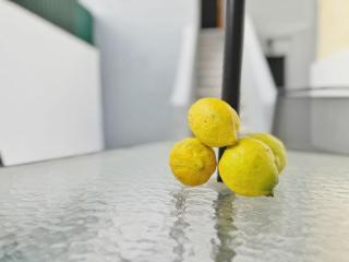 Lemon Tree Studio with Patio - Lissabon - 8