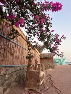 Sahara beach camp - Nuweiba` - 8