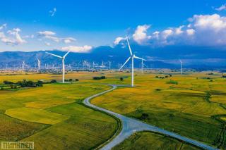 Dan's house - Kinh Dinh - 6