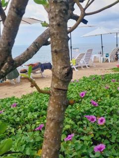 Walden Koh Lanta - Tiny Homes by the Sea - 1