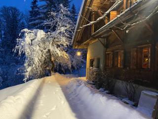 Arthaus Megève - Demi-Quartier - 8