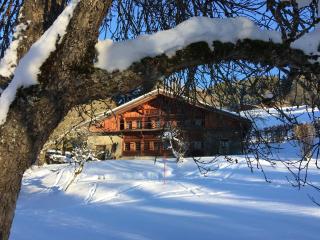 Arthaus Megève - 1