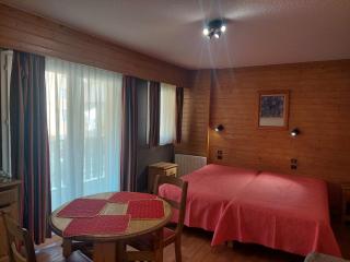 Studio cosy au cœur de Brides-les-Bains, balcon, wifi, parking, animaux admis - FR-1-512-282 - Brides-les-Bains - 4
