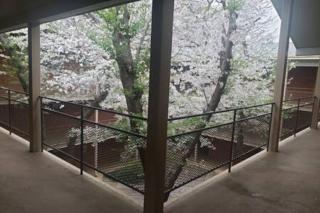 Walkable to Sanford Stadium or downtown - Athens - 2