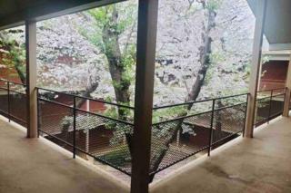 Top-floor view, Walk to Sanford Stadium - Athens - 3