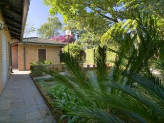 Forest and Ferns - Graskop - 3