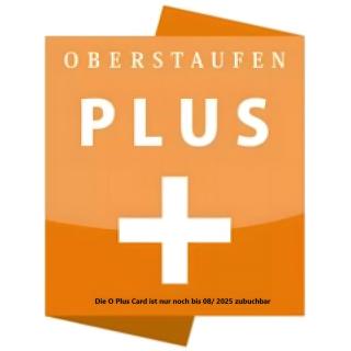 Alpen Art Chalet - Oberstaufen - 6