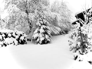 Alpen Art Chalet - Oberstaufen - 9