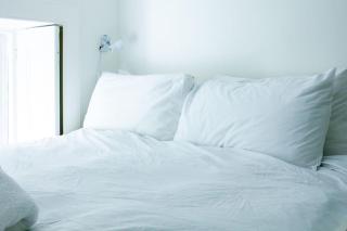 Artist colony cottage with sauna and private garden, and easy walk to city centre - 7