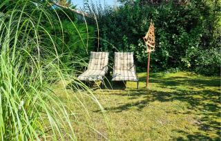 Pet Friendly Home In Scherpenisse - 5