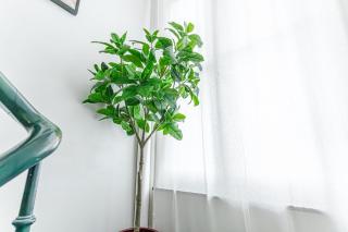 Elegant 5 BR Apartment at Ghent's Core - 4