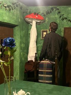 Wonderland B&B - Antigua Guatemala - 7