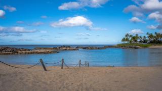 Coconut Plantation 1110-3 - Kapolei - 5
