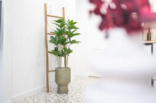 Loft15Athens - Athene - 7