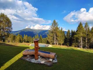 Kerschbaumer Chalet - 1