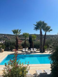 The Olive Grove Villas with swimming pool and breakfast - 4