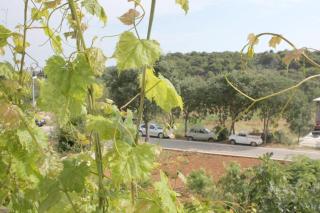 Apartments Slavica - Jezera - 2