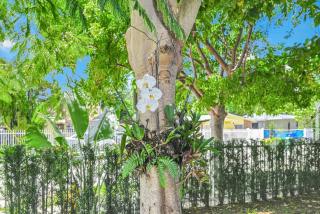 Stylish Oasis in Design District, Near Wynwood - 1