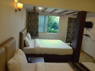 The Byke Sai Cottage Mahabaleshwar - 8