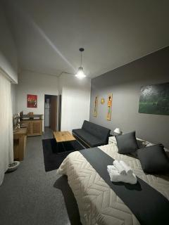 MONOAMBIENTE EN VARESE - 7