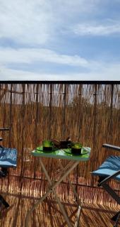 Seabreeze Suite, La Mata Retreat - 9