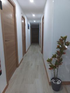 Hostal el Olivo - Mora - 2