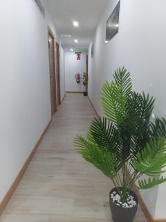 Hostal el Olivo - Mora - 1
