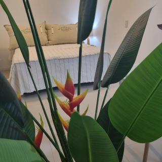 Altos de Centro Chivilcoy II - 2