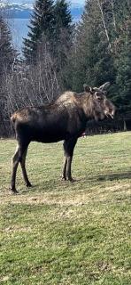 Raspberry Cottage - 3