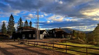 Stallen - 8